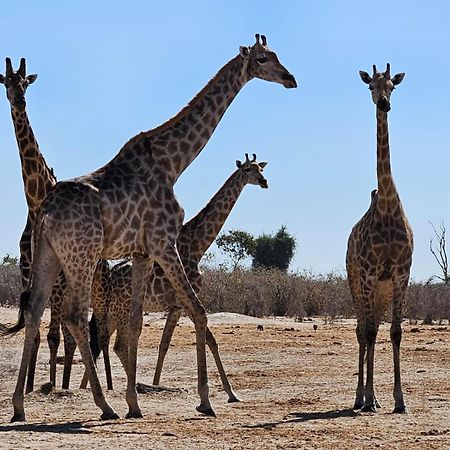 Xhabe Safari Lodge Chobe Muchenje Экстерьер фото