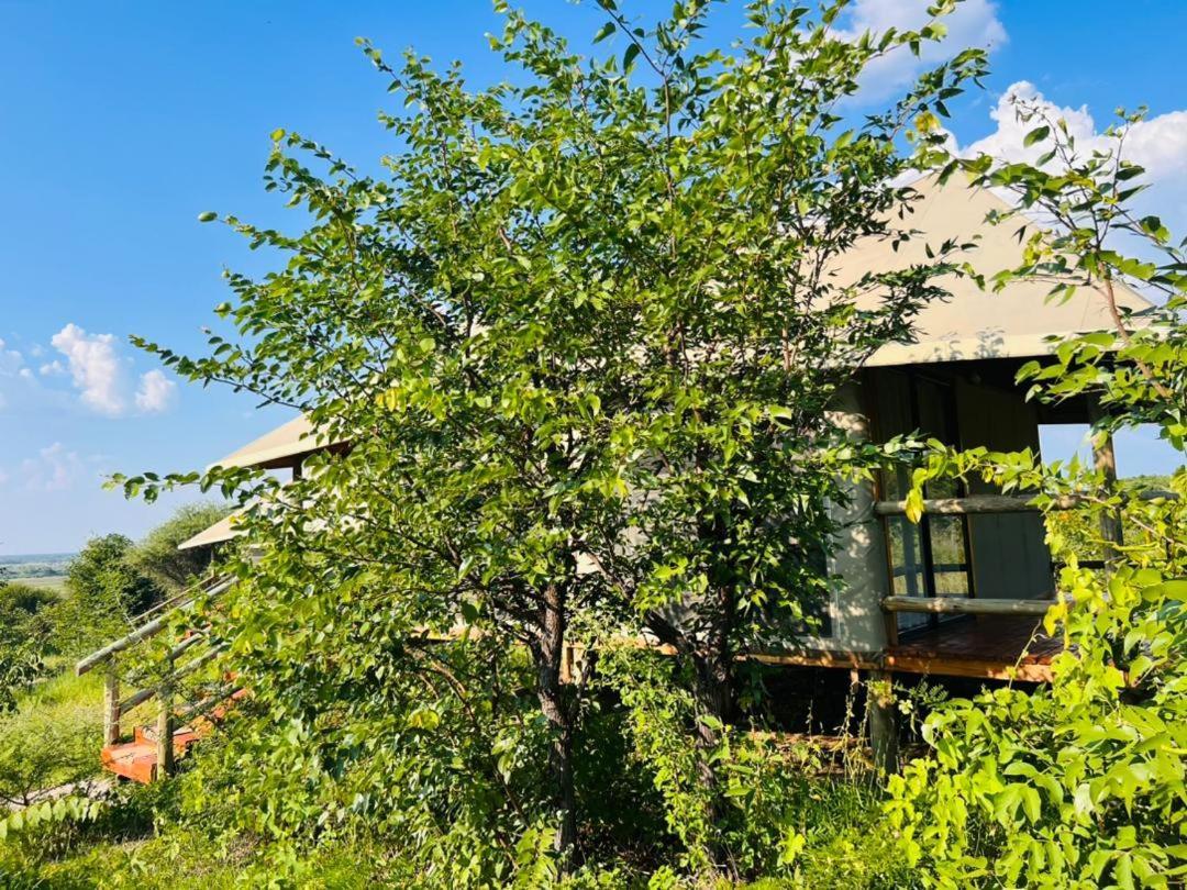 Xhabe Safari Lodge Chobe Muchenje Экстерьер фото