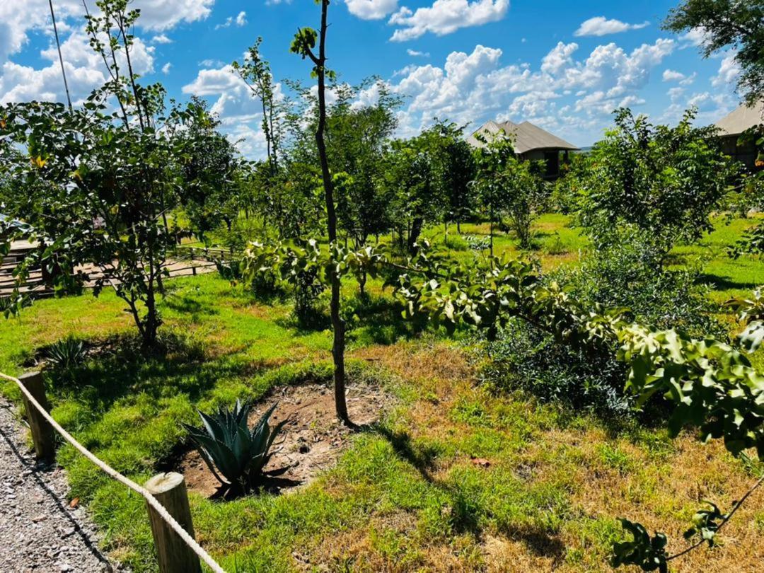 Xhabe Safari Lodge Chobe Muchenje Экстерьер фото